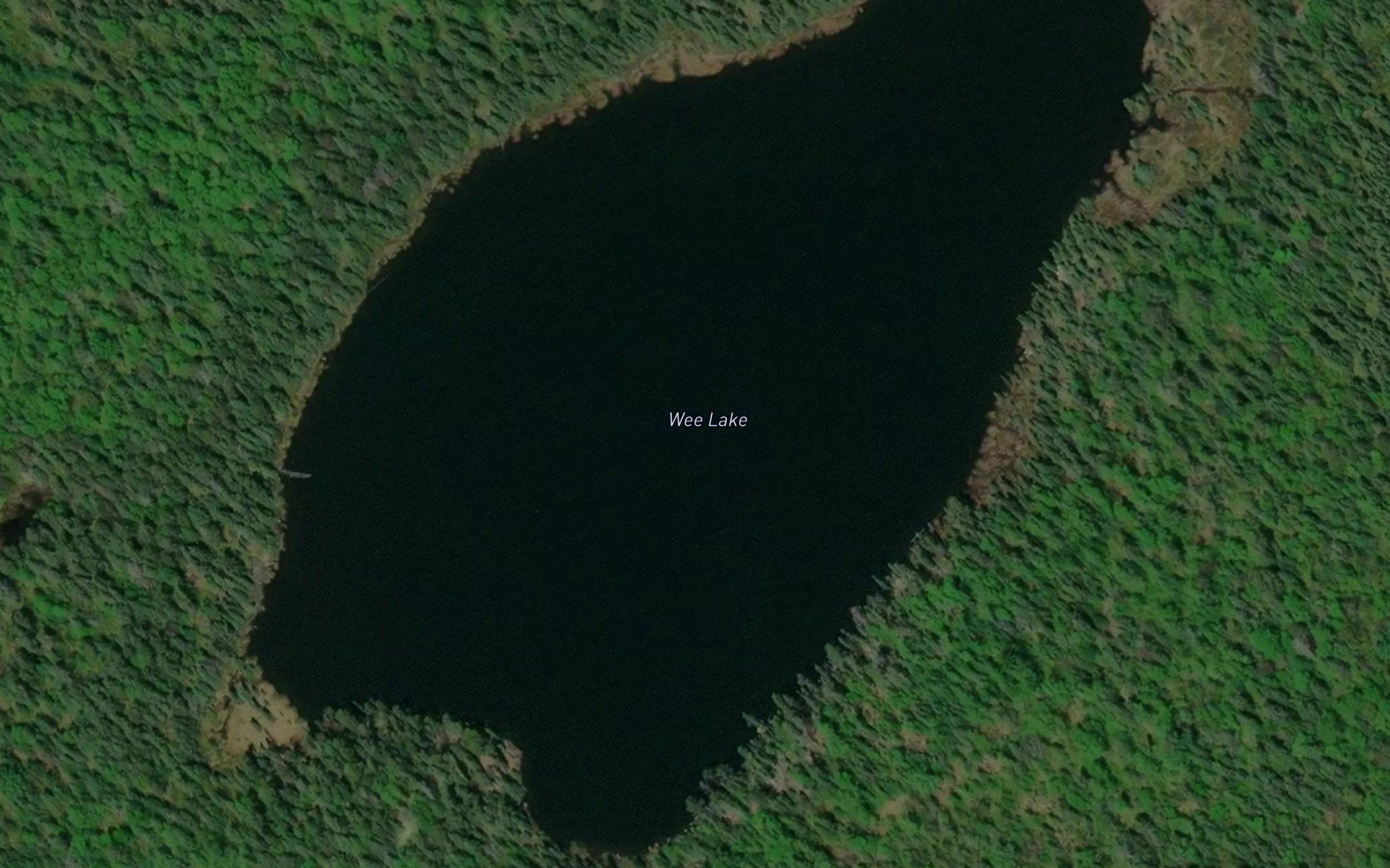 Wee Lake