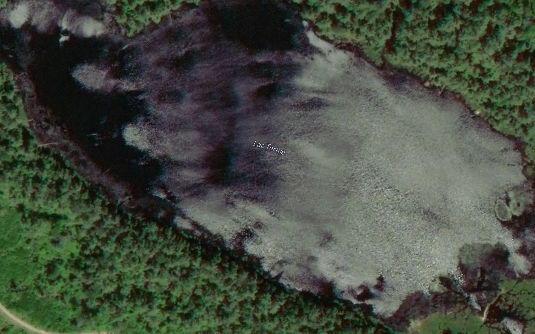 Satellite map of the Lac Tortue