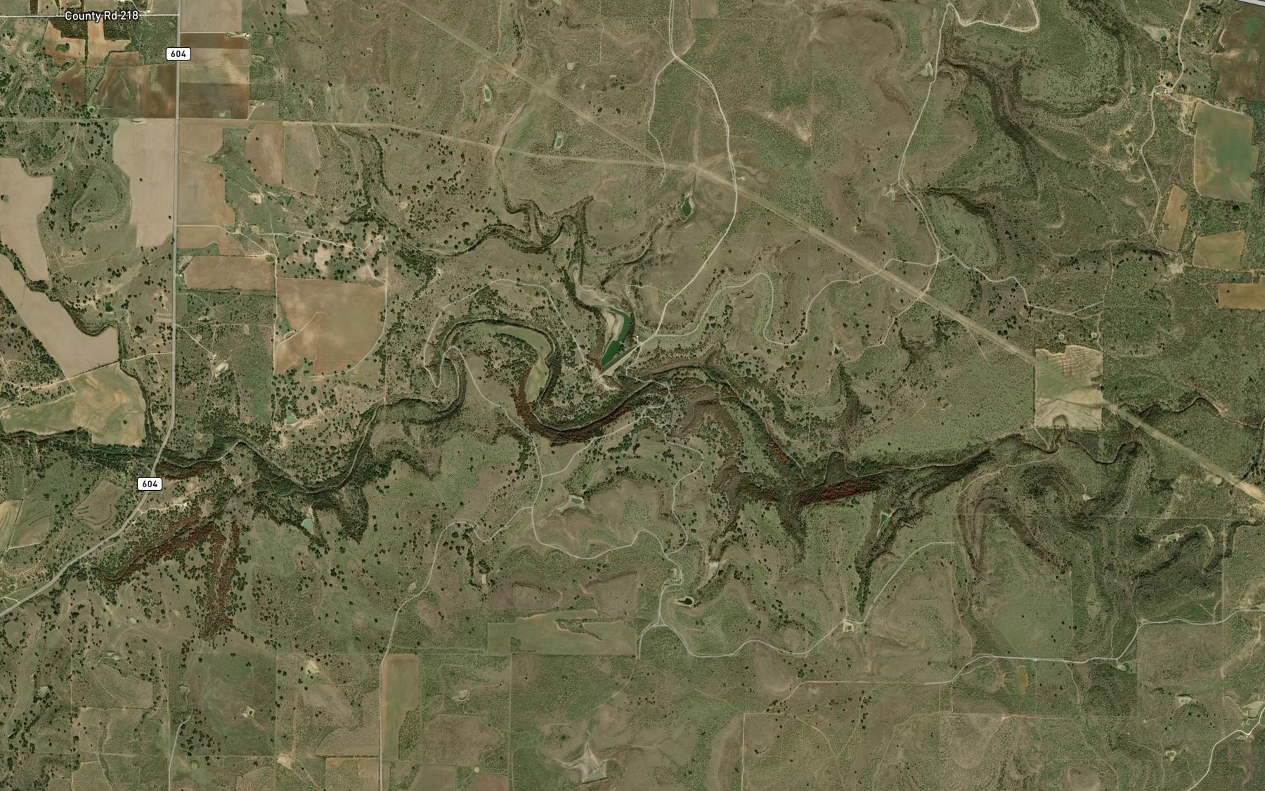 Satellite map of the Lick Branch