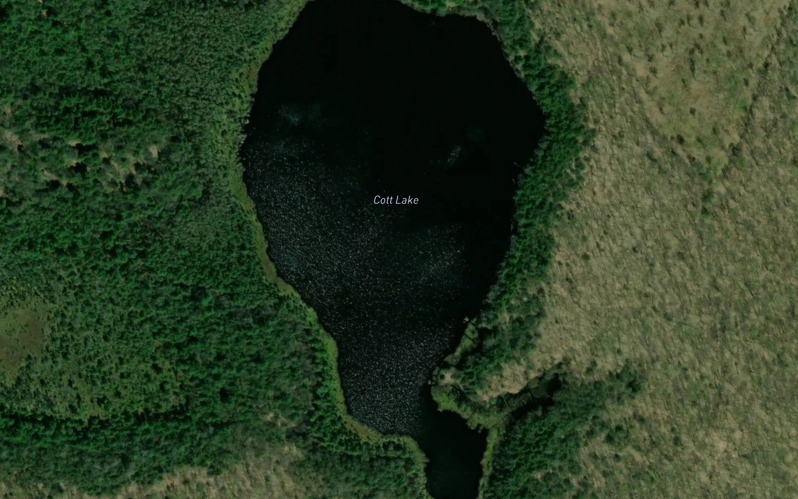 Cott Lake