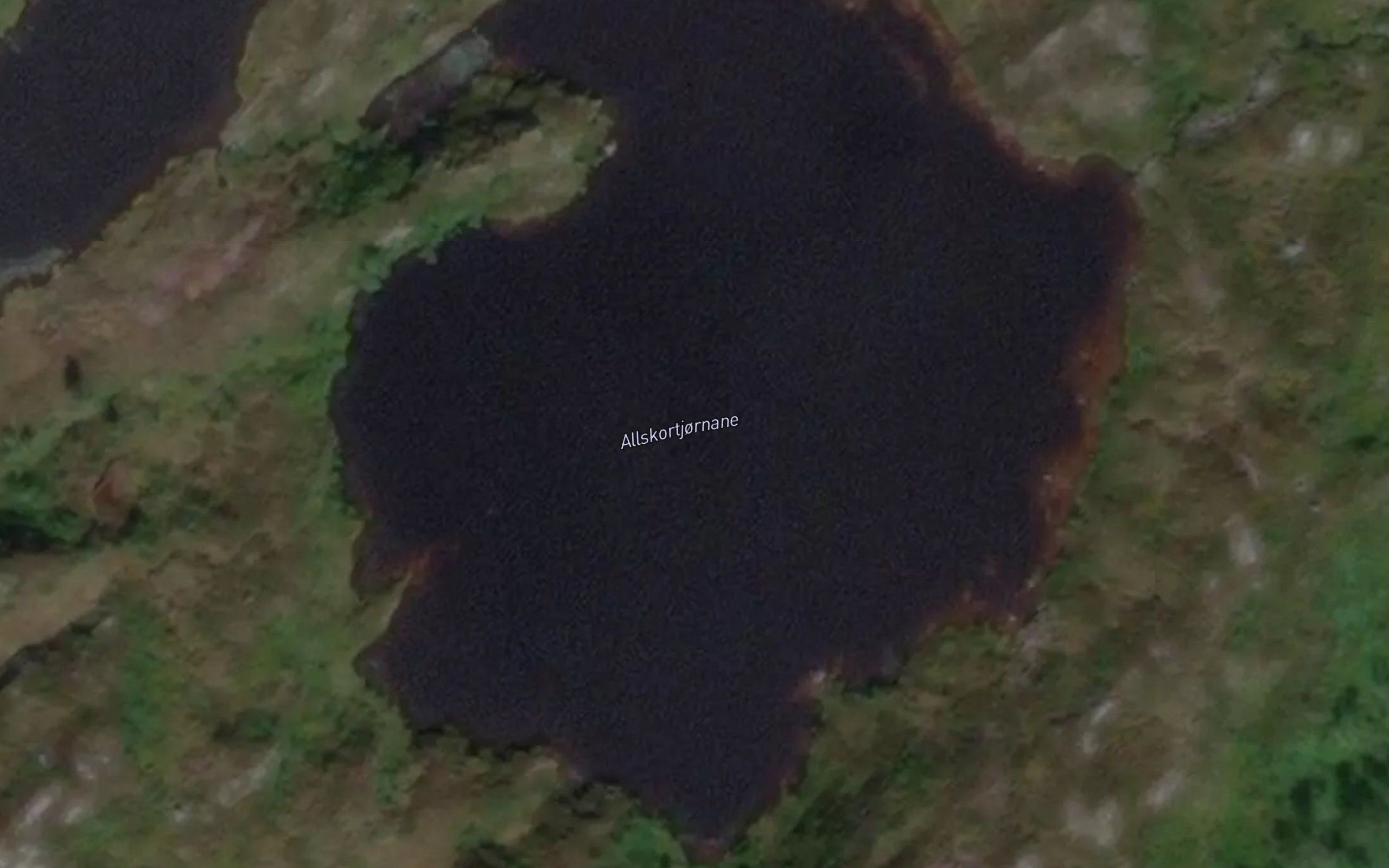 Allskortjornane