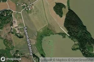 Holinoja