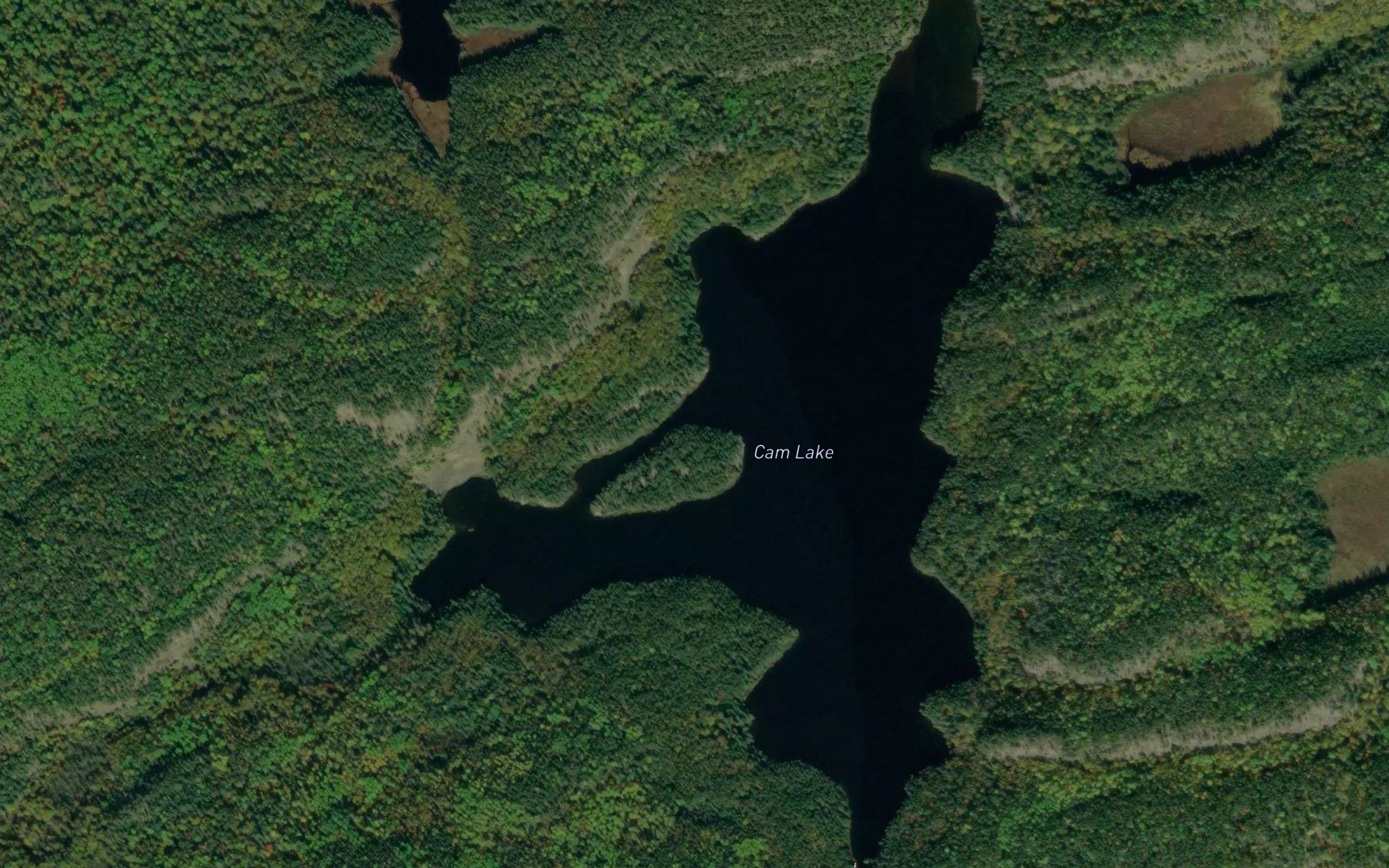 Cam Lake