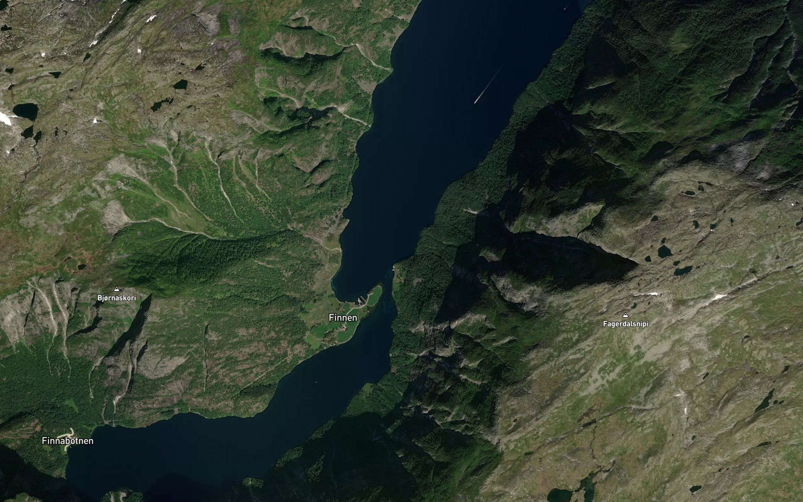 Straumviki