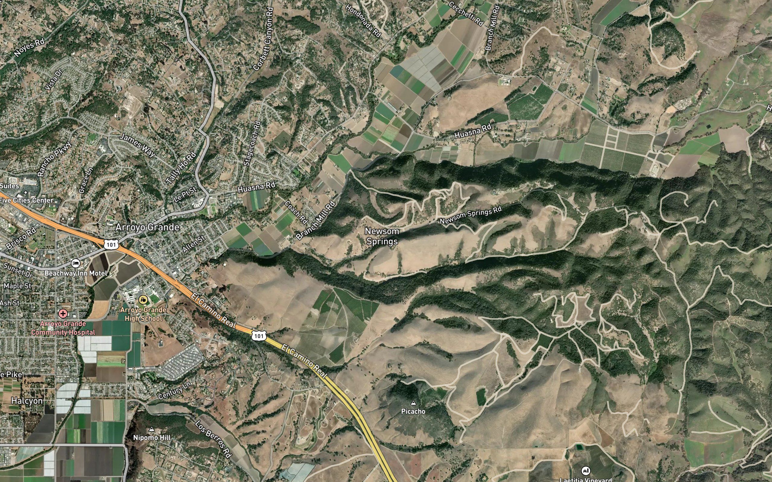 Newsom Springs
