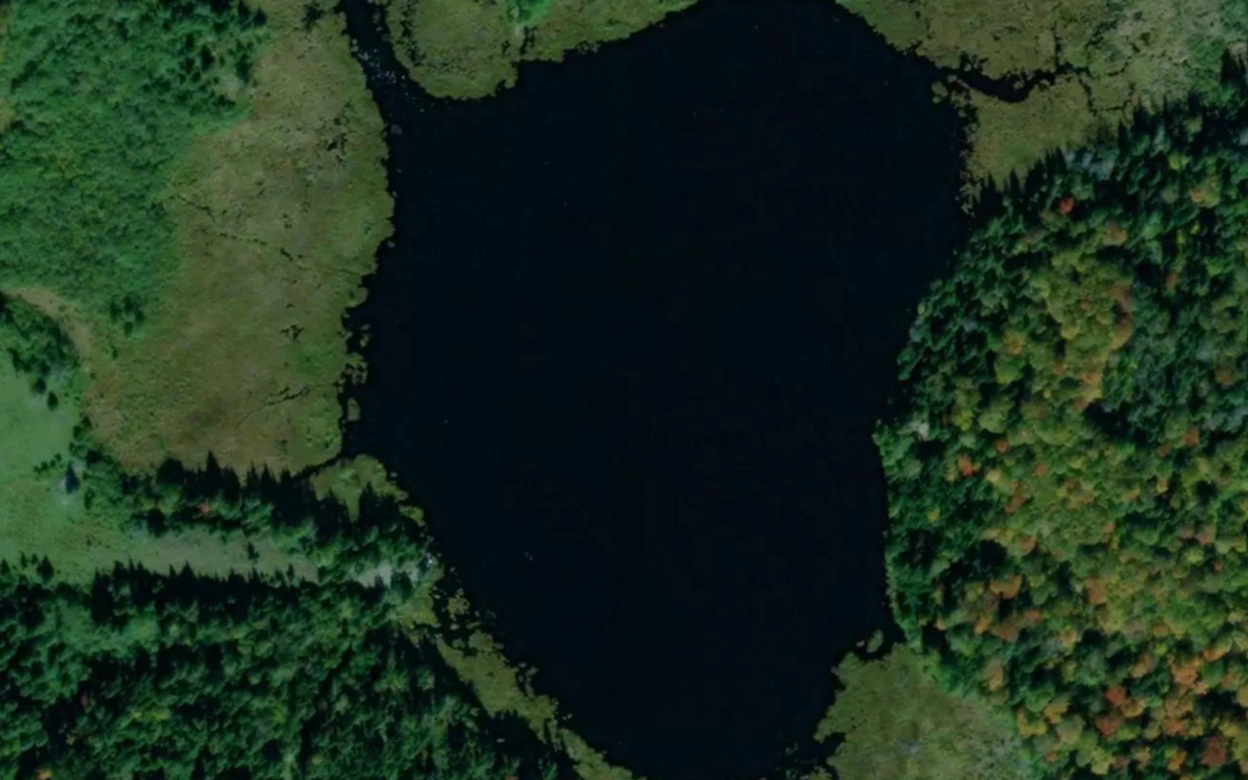 Fitzgibbon Lake