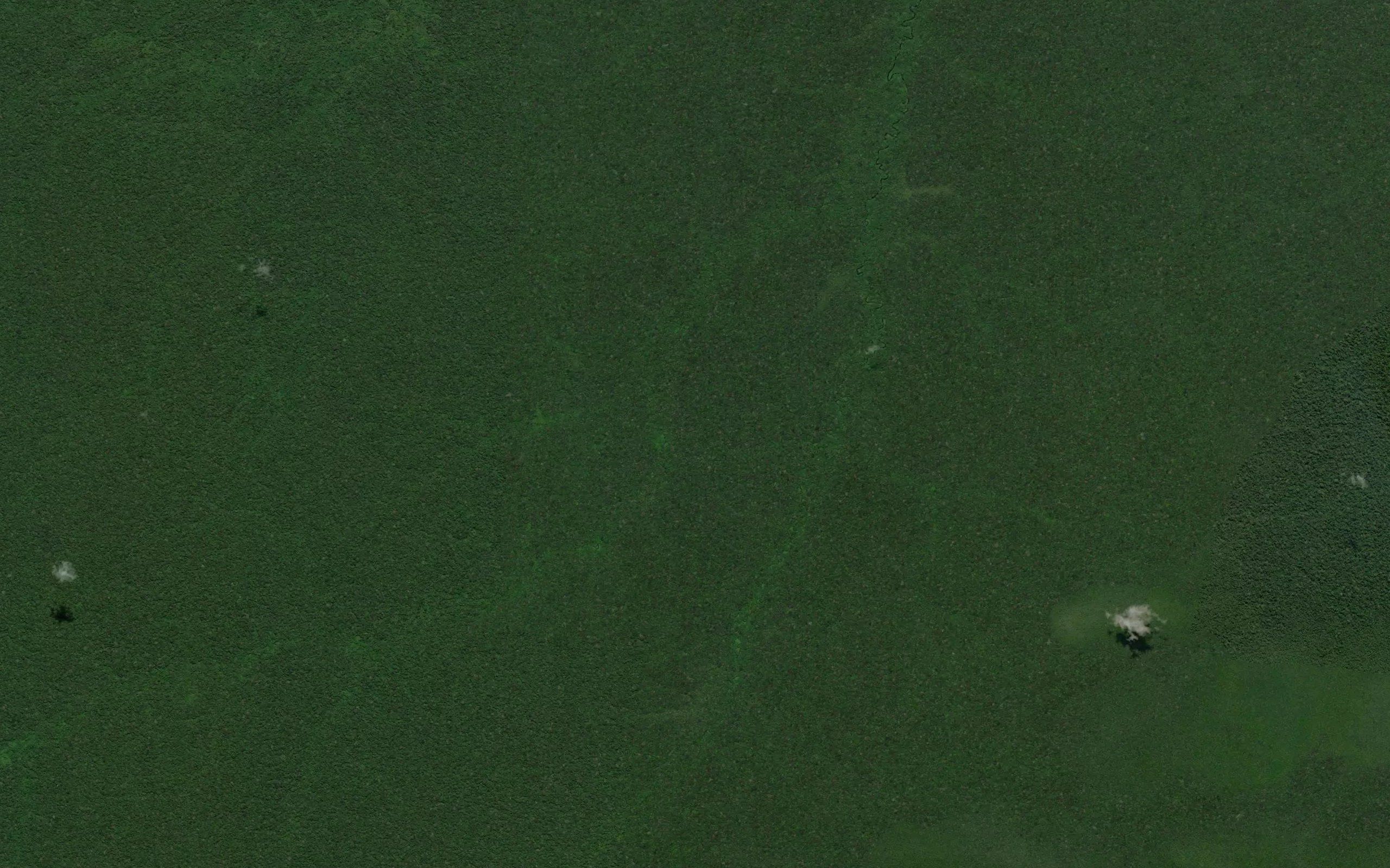 Quebrada Lupuna