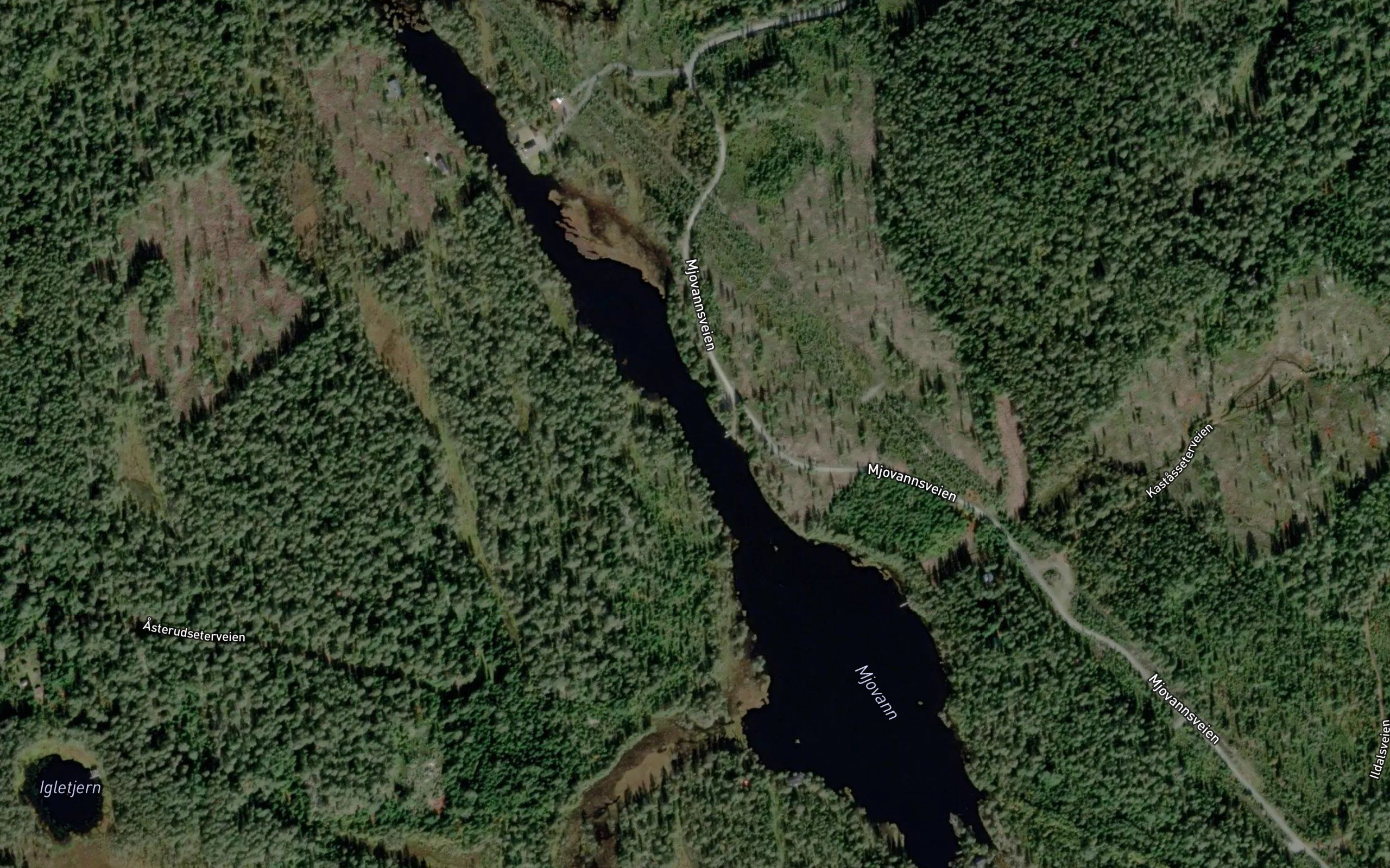Mjovann