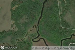 Randall Creek