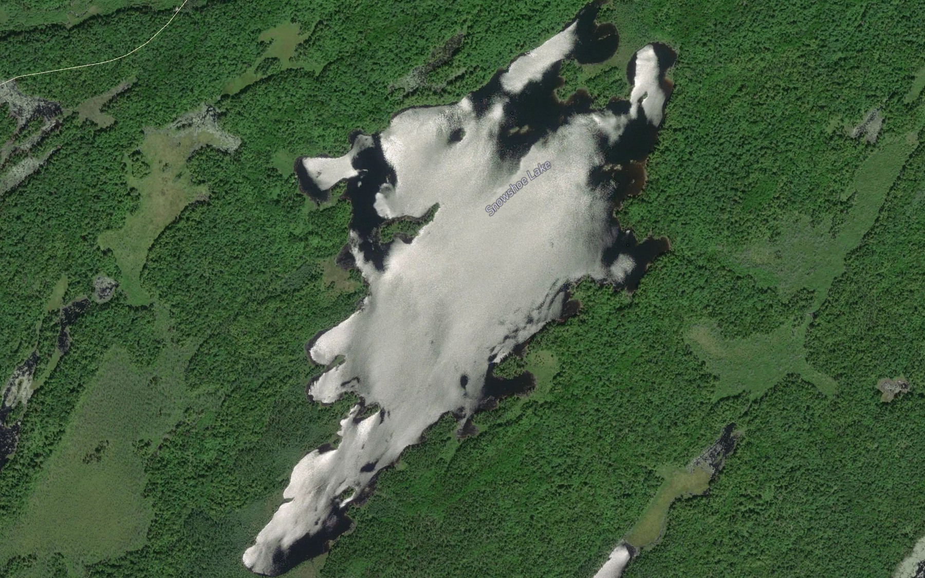 Satellite map of the Snowshoe Lake