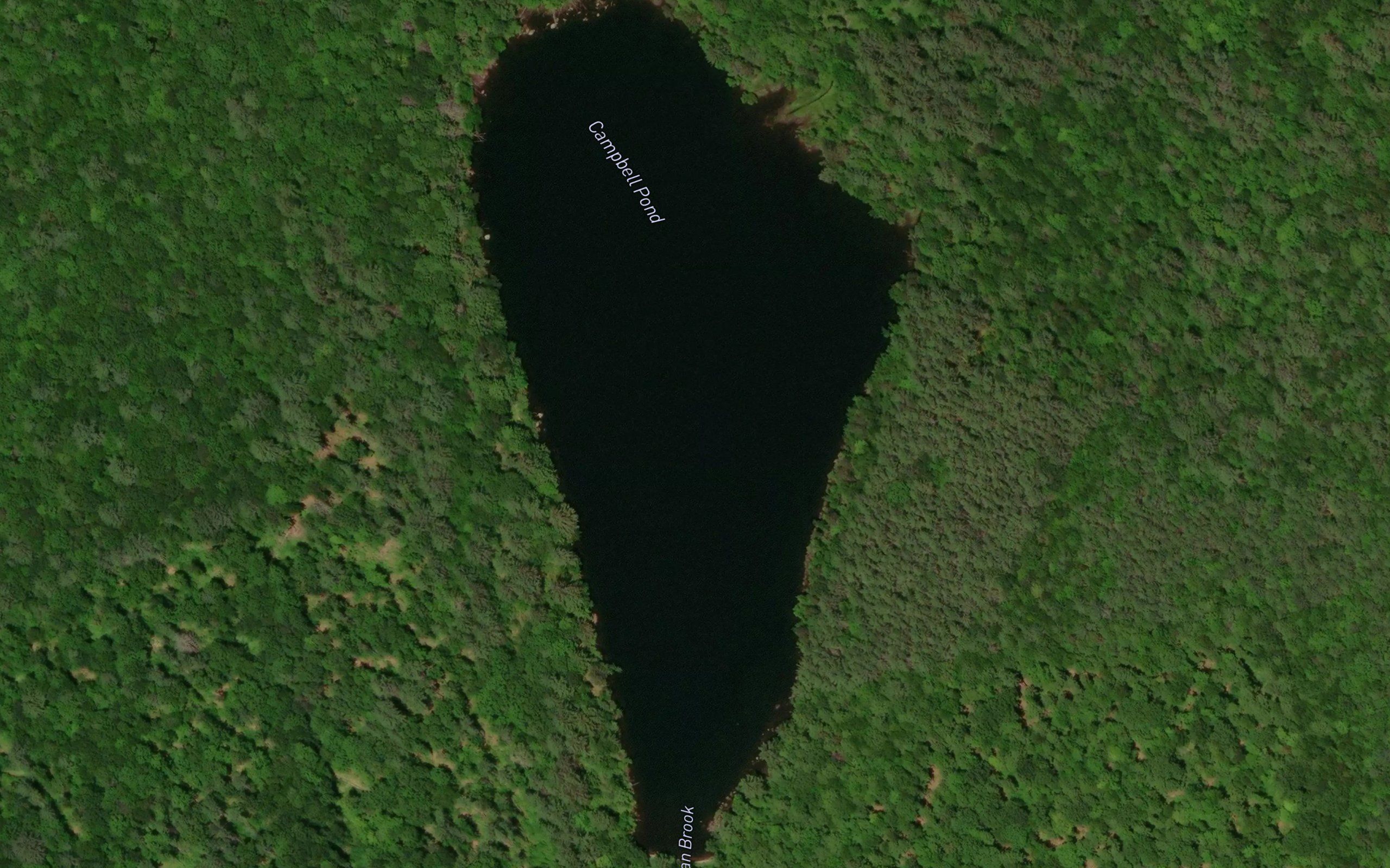 Campbell Pond
