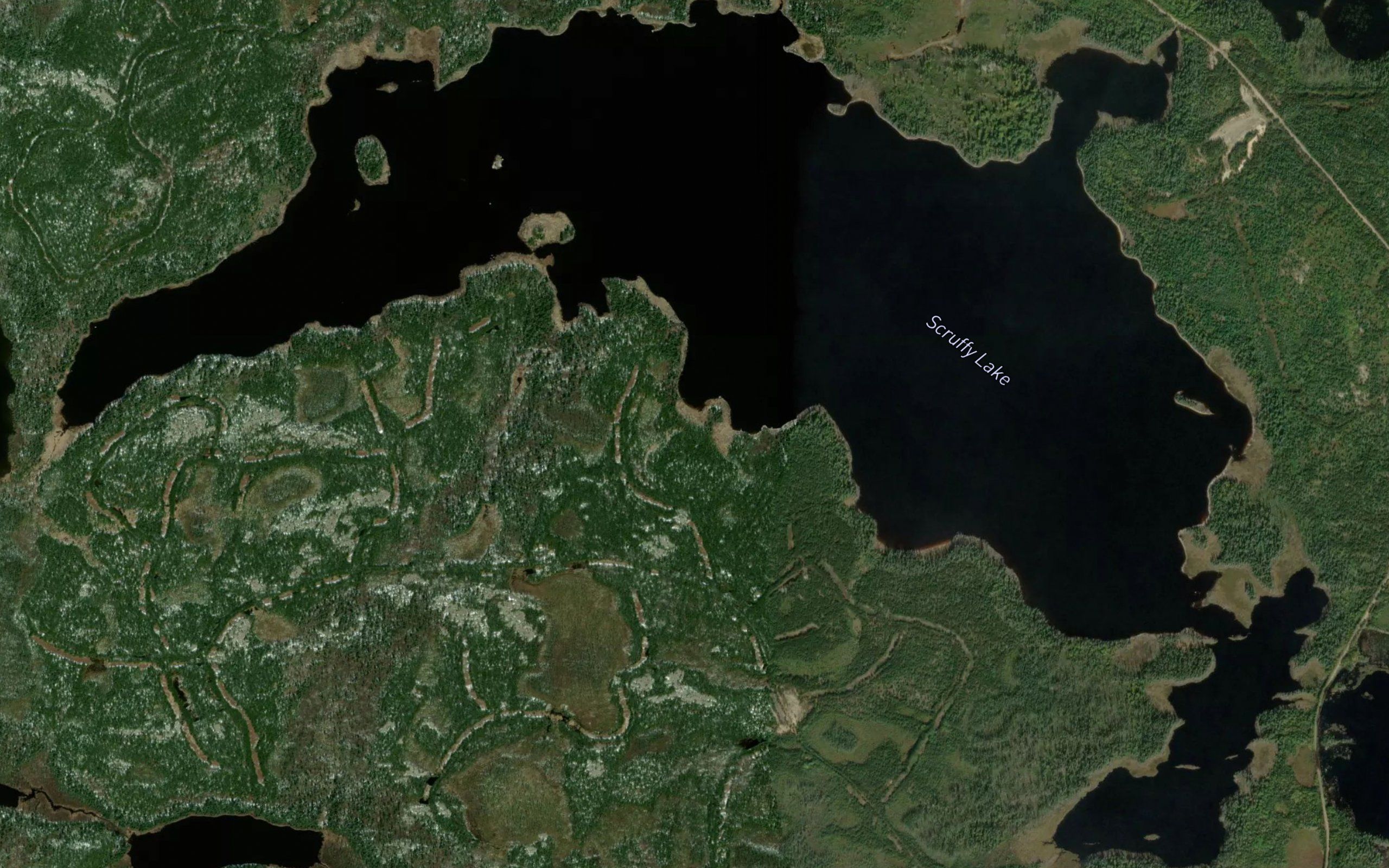 Scruffy Lake