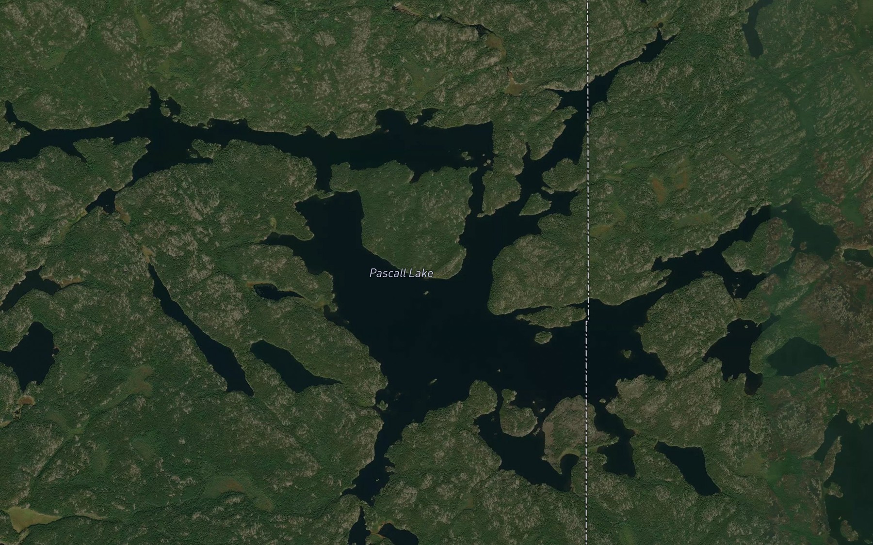 Satellite map of the Pascall Lake