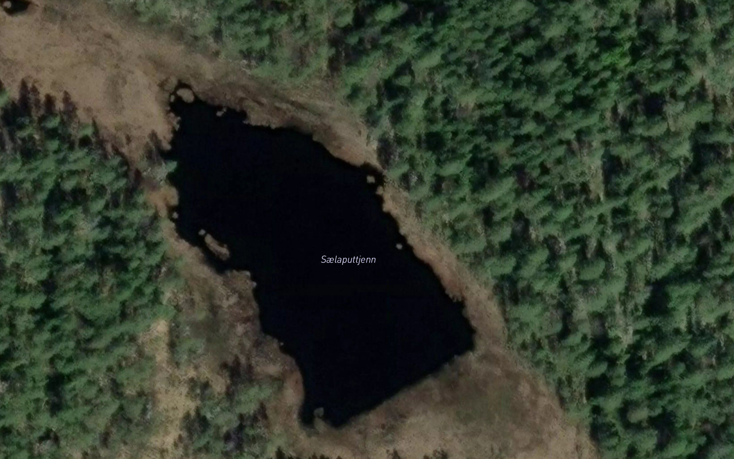 Saelaputtjern