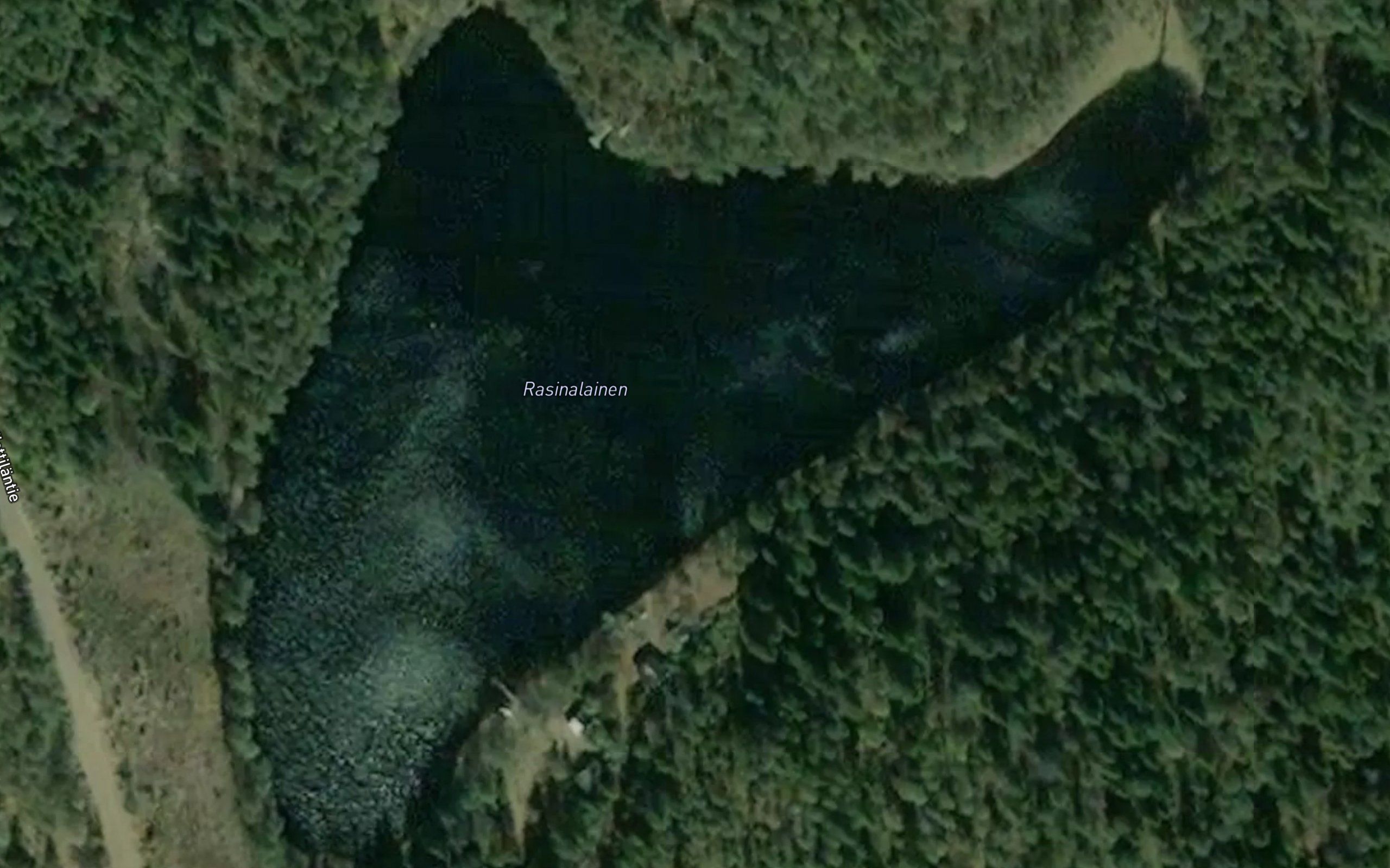 Rasinalainen