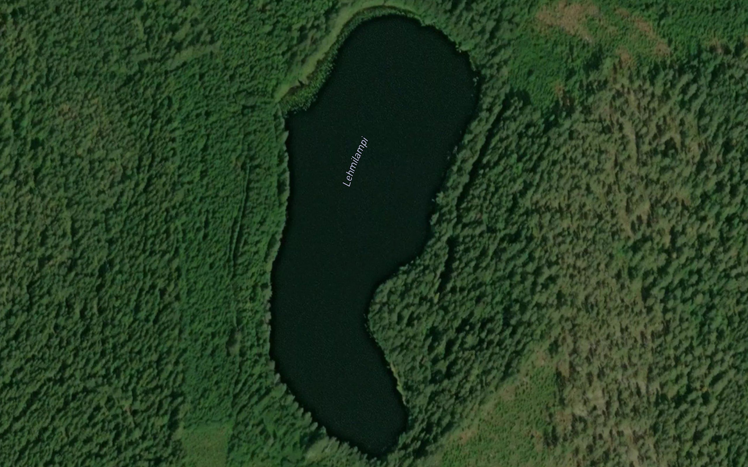 Lehmilampi