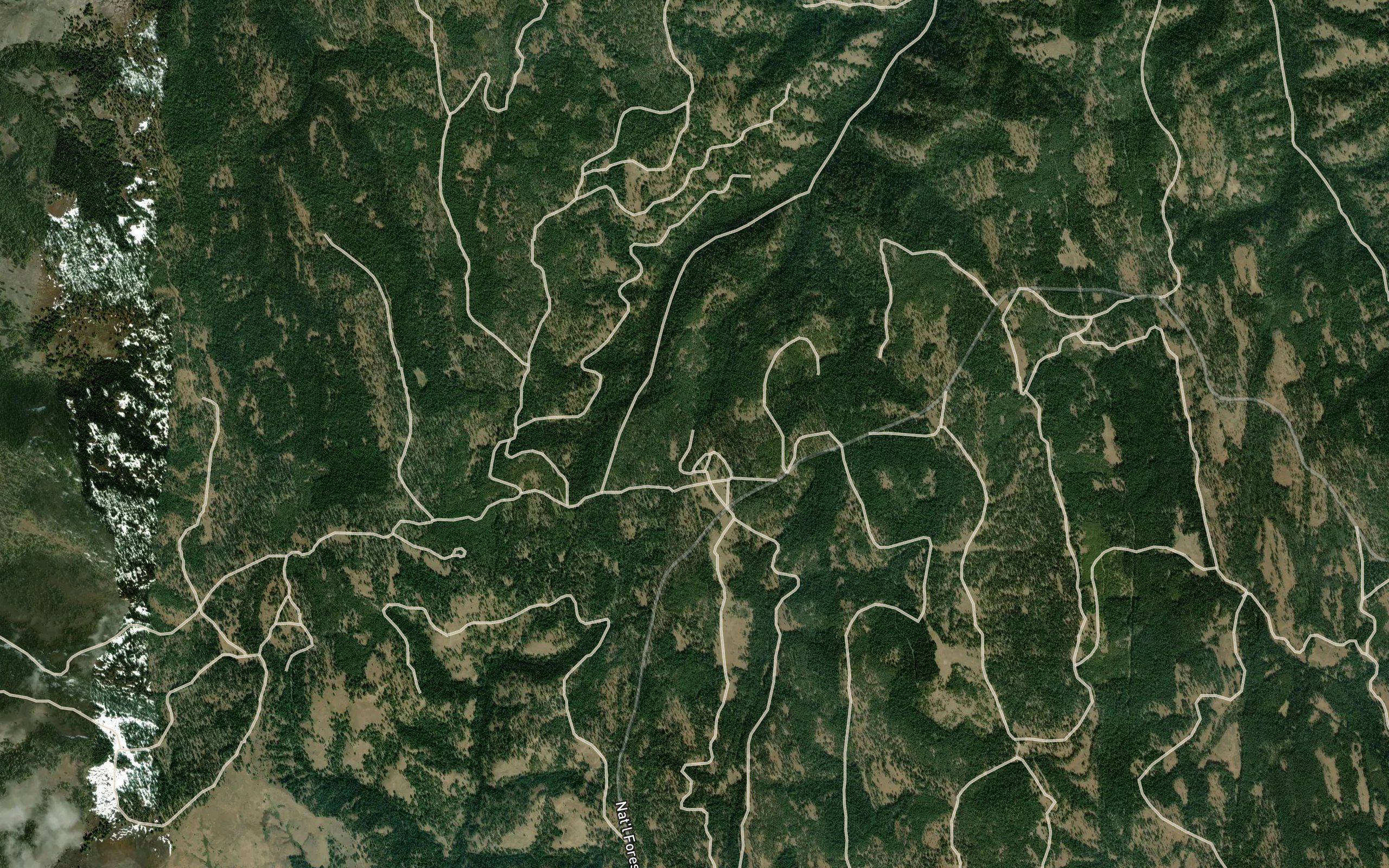 Coyote Spring