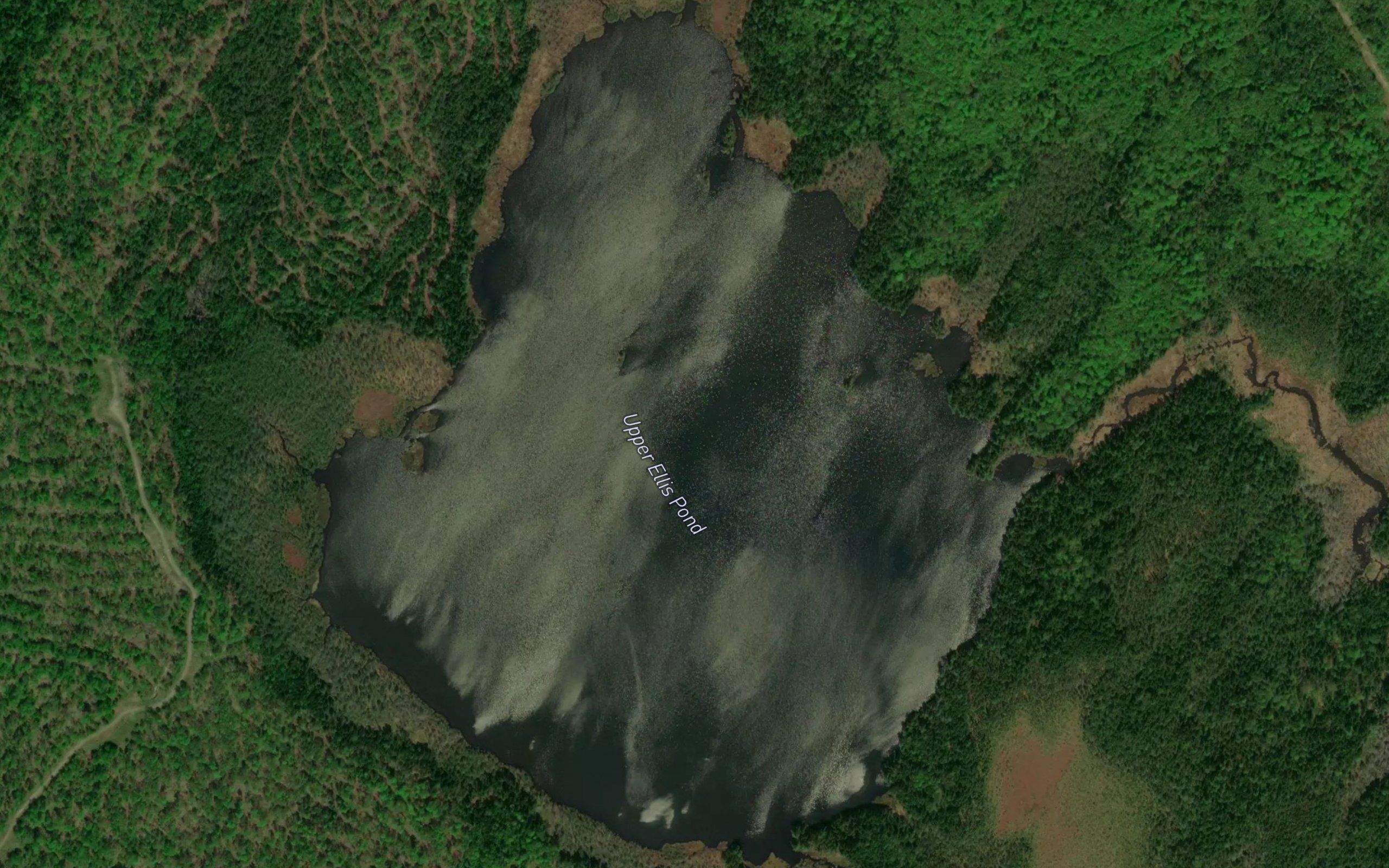 Upper Ellis Pond