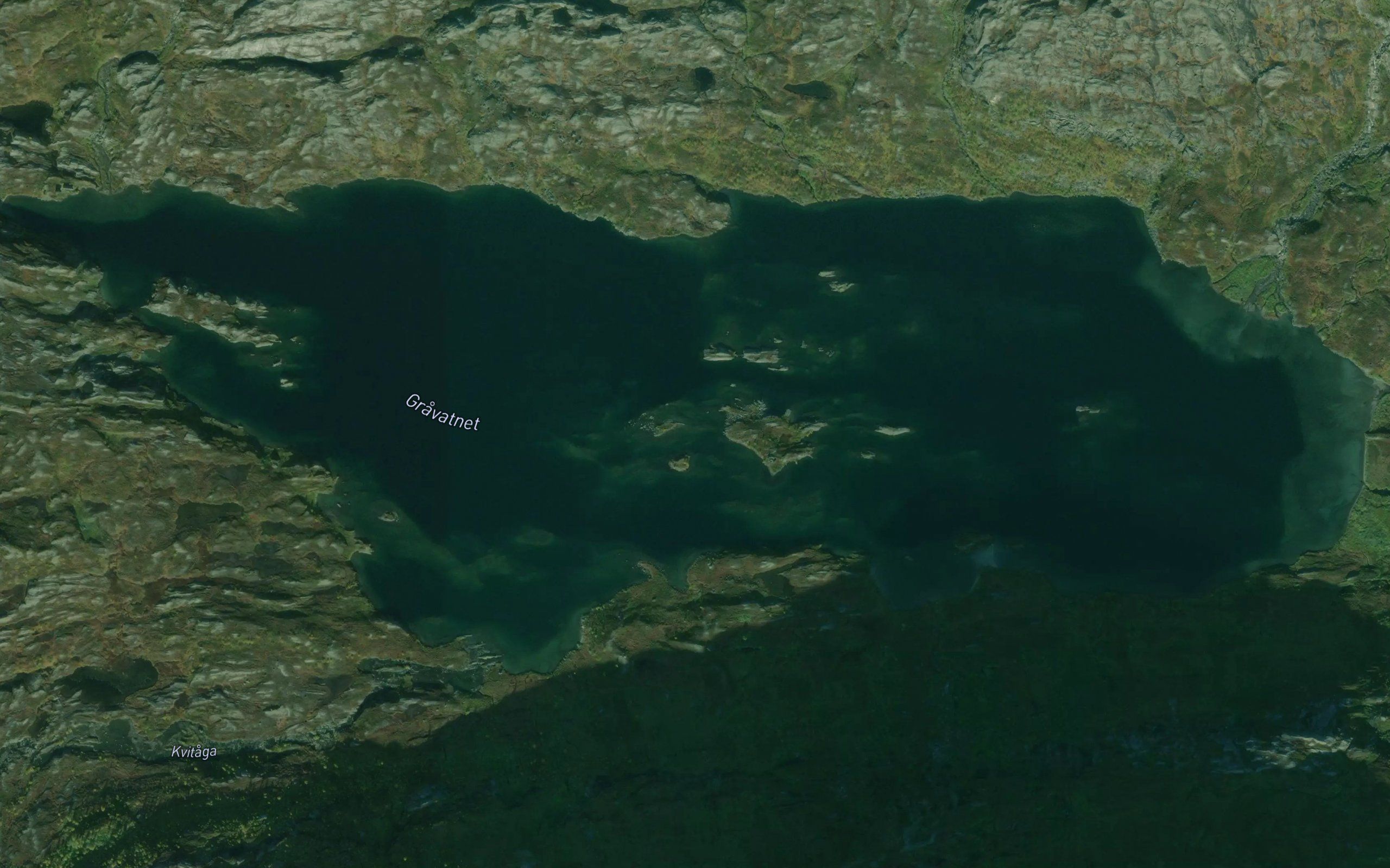 Gravatnet