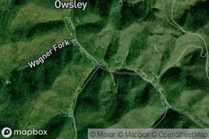 Dog Fork