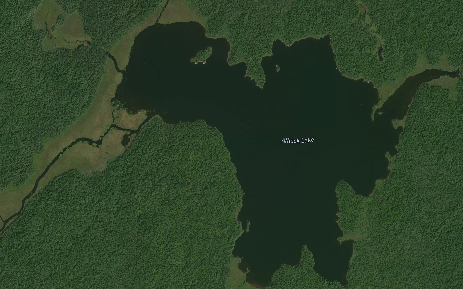 Satellite map of the Affleck Lake