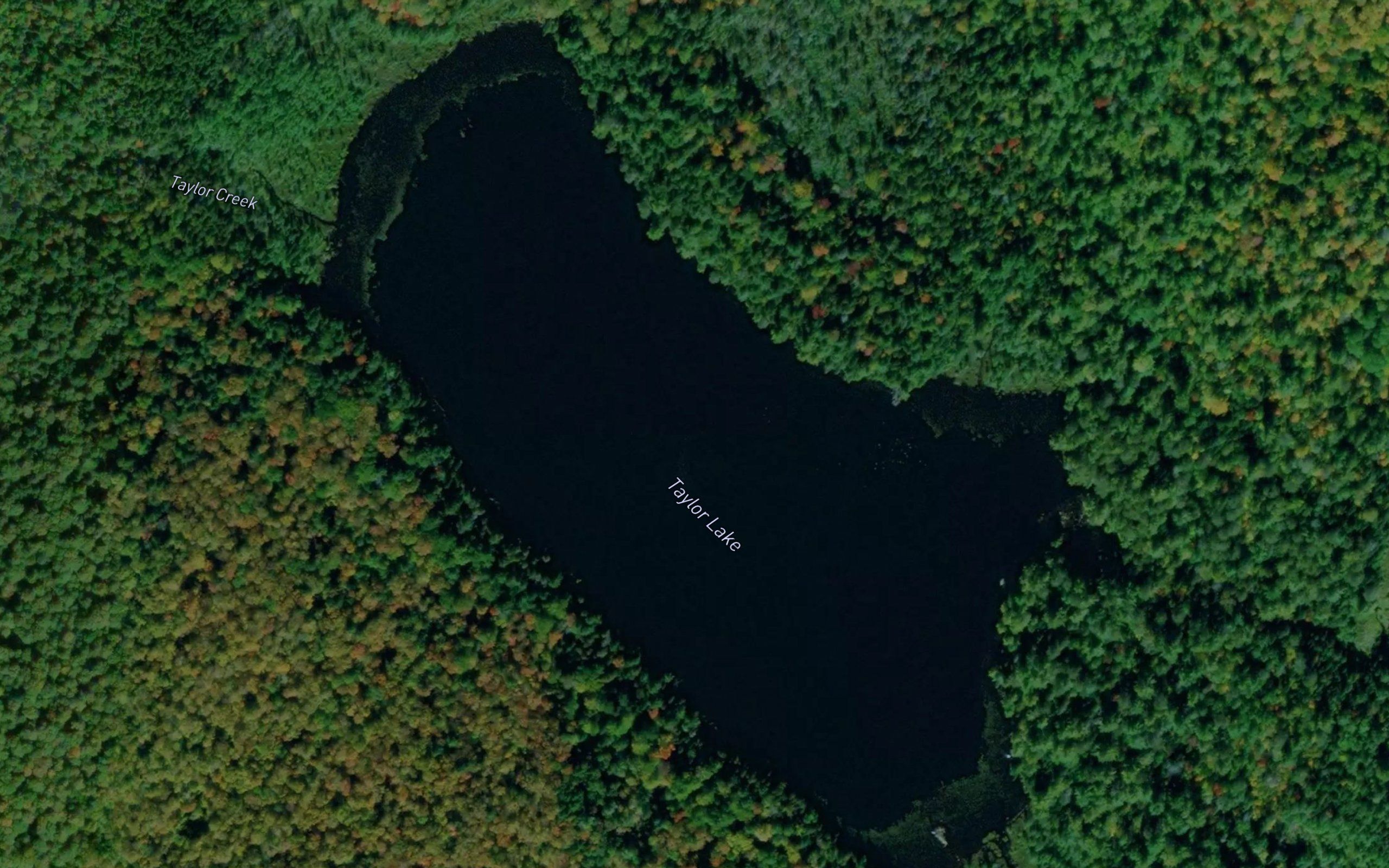 Taylor Lake