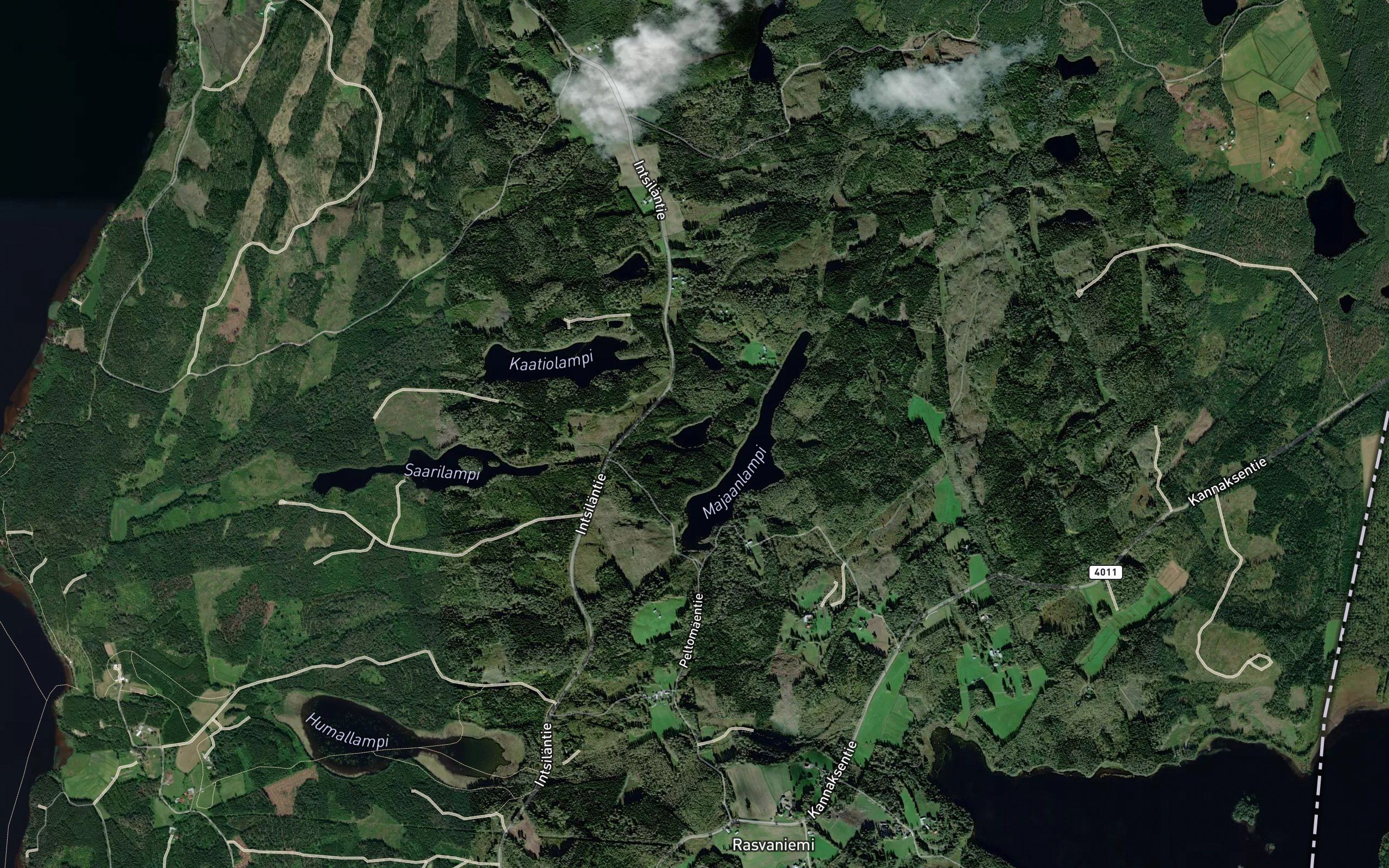 Saari-Sitturi