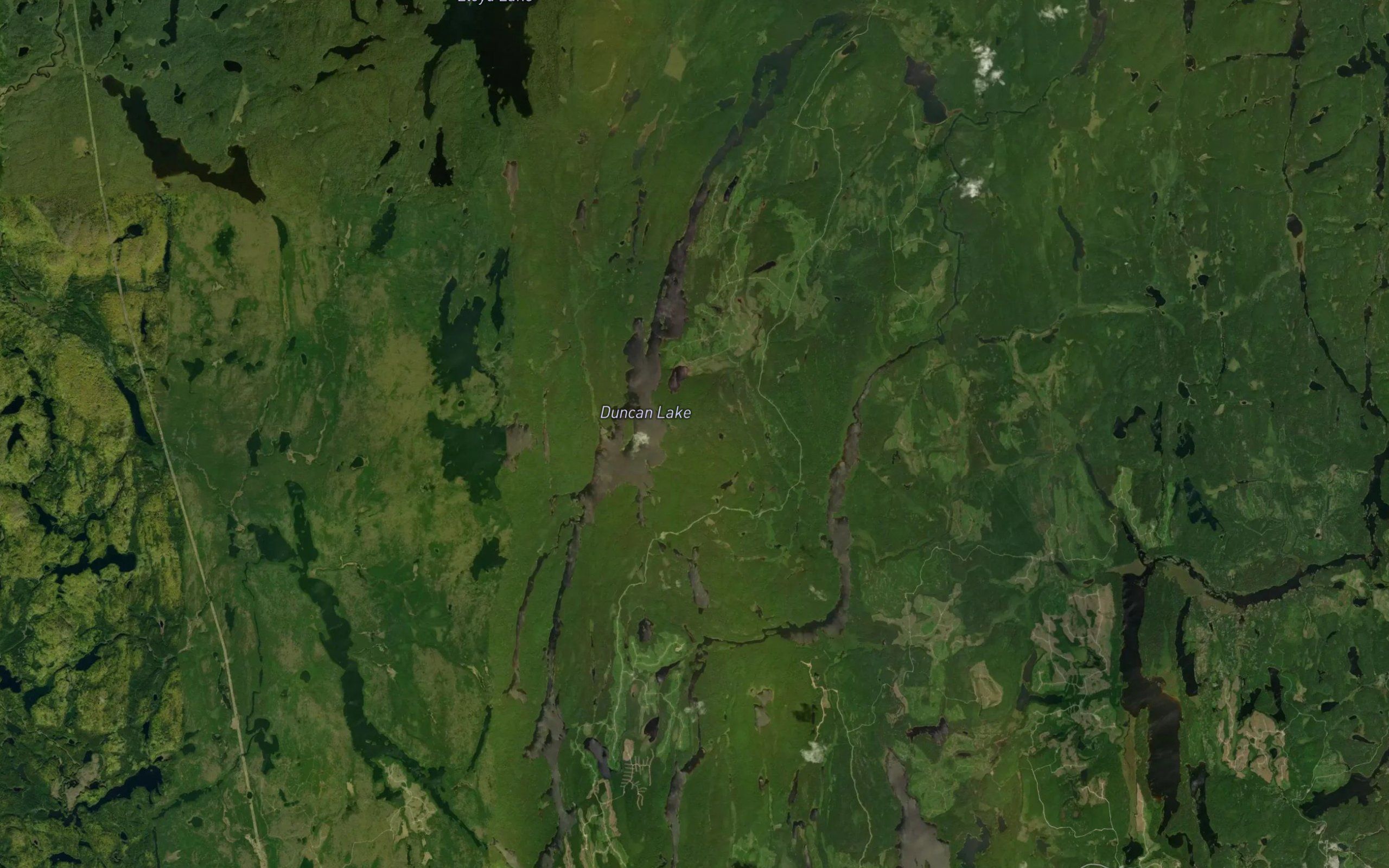 Duncan Lake