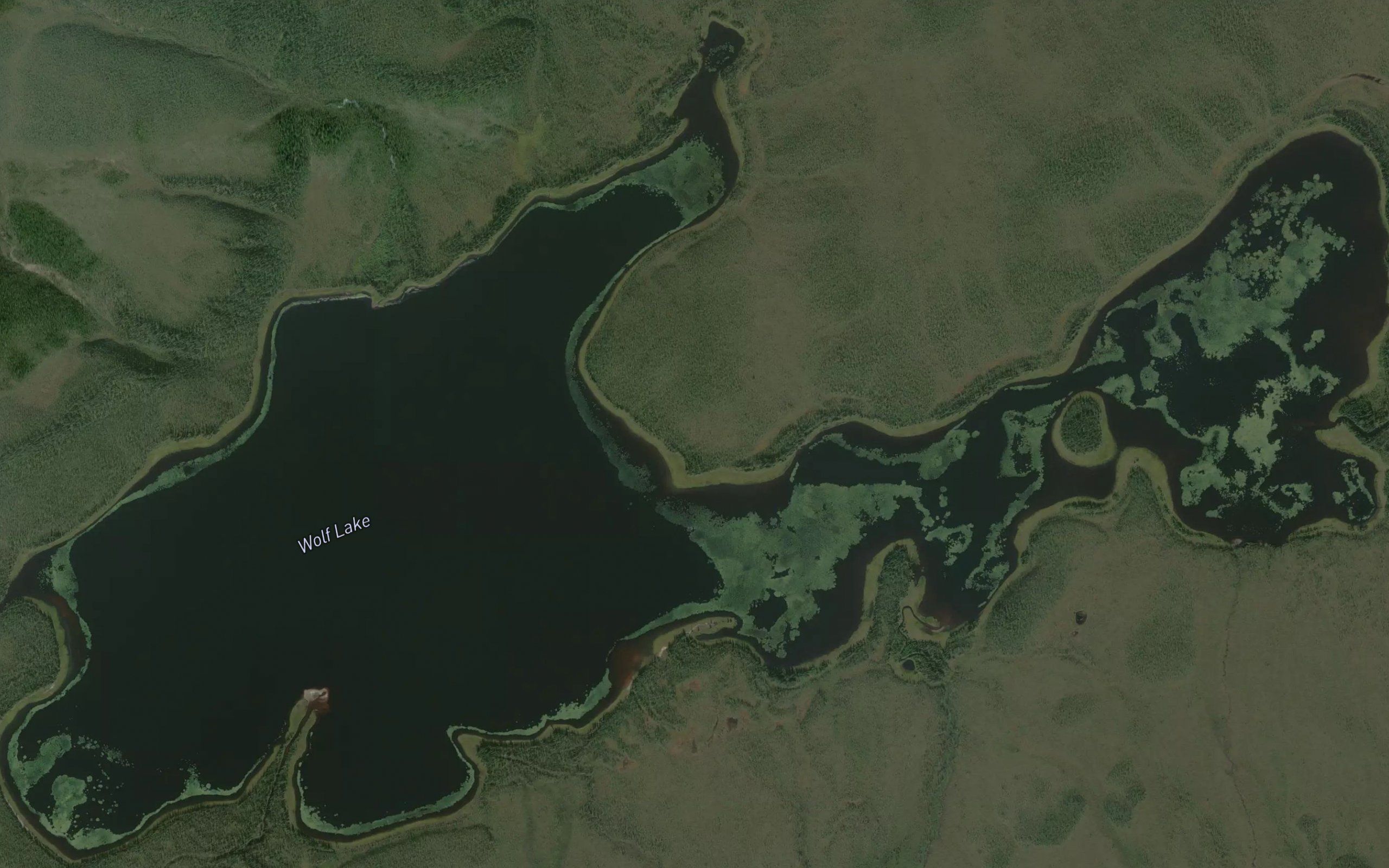 Wolf Lake