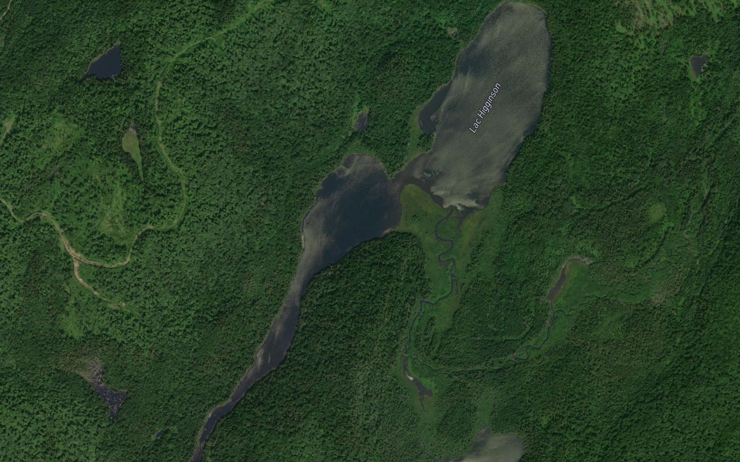Lac Higginson