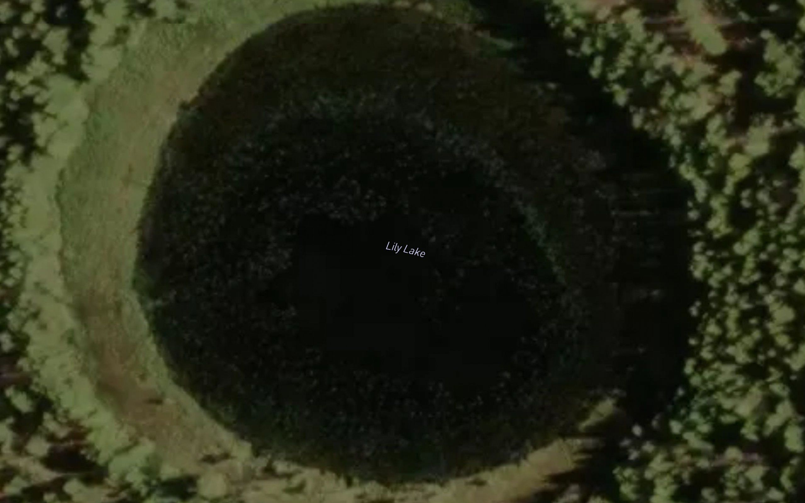 Lily Lake
