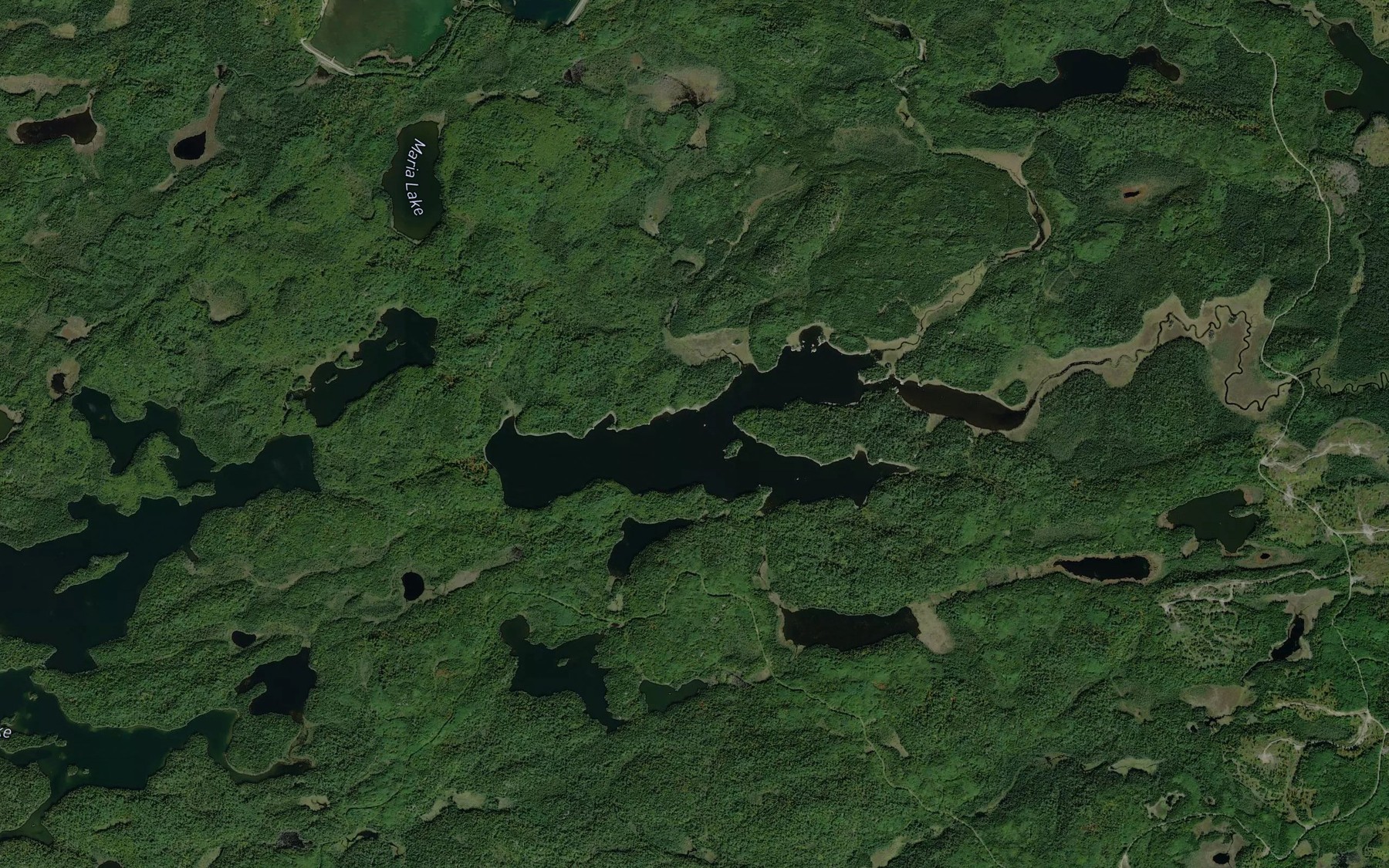 Satellite map of the Peewatai Lake