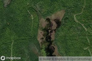 Satellite map of the Bear Brook