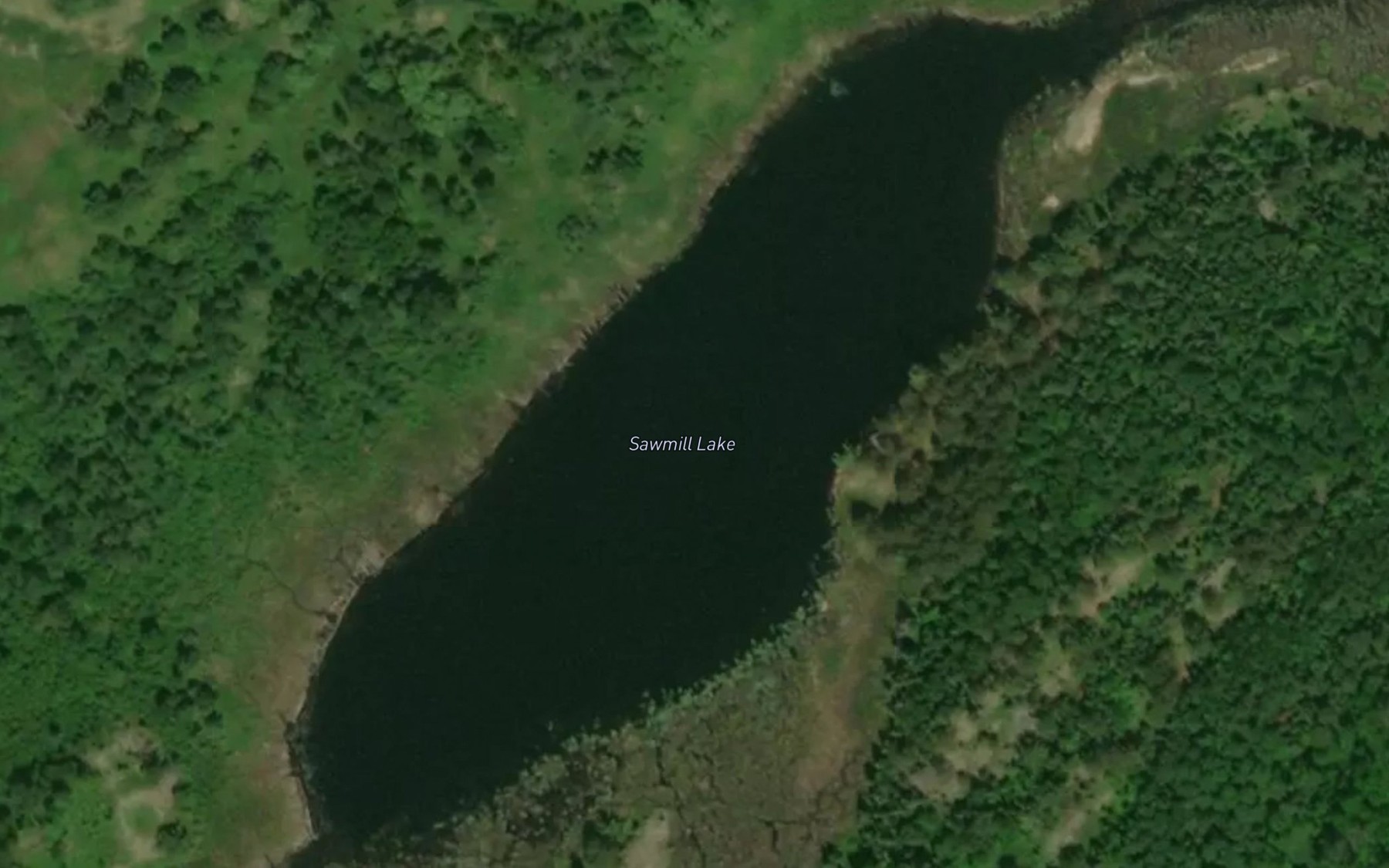 Satellite map of the Sawmill Lake