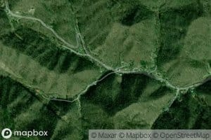 Long Fork