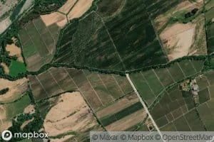 Estero Carretones