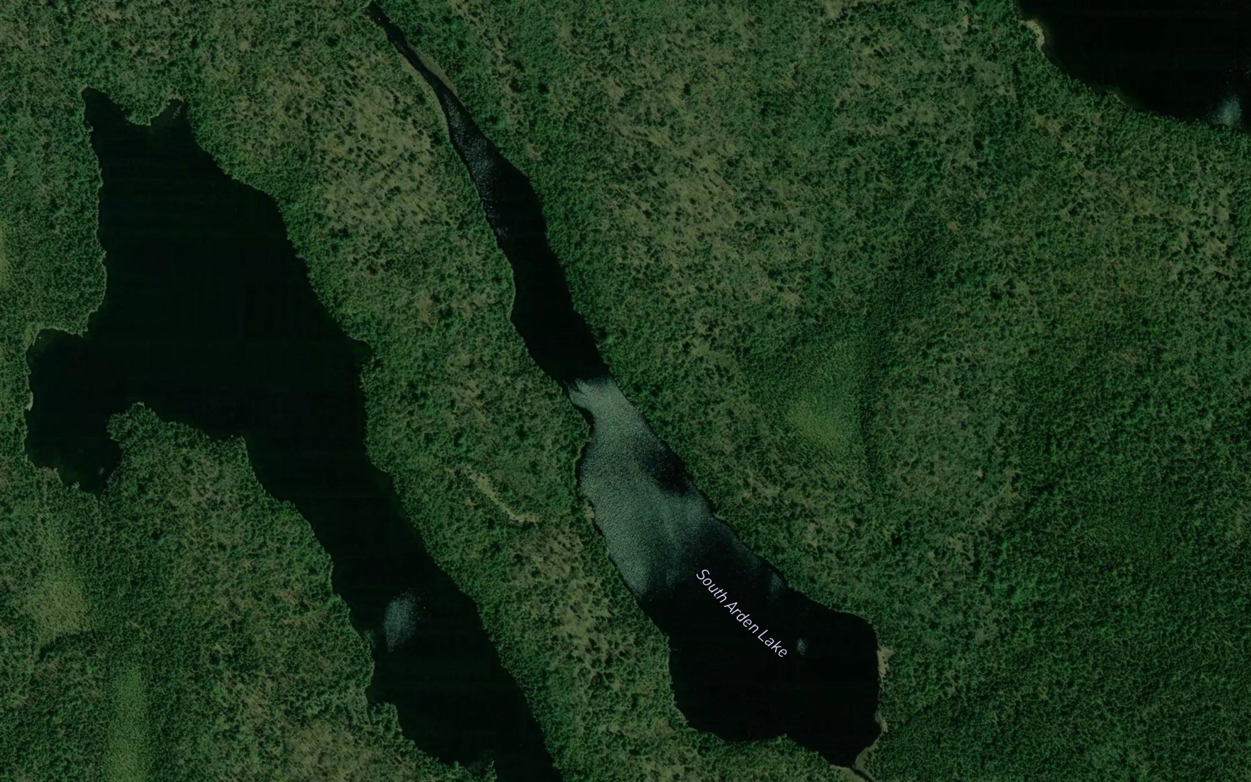 Satellite map of the South Arden Lake