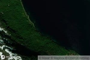Kavika