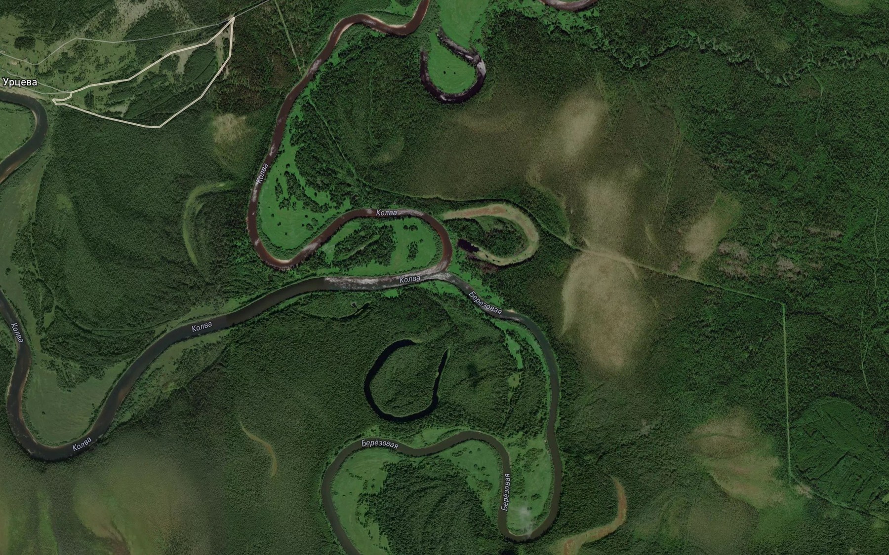 Satellite map of the Berezovaya
