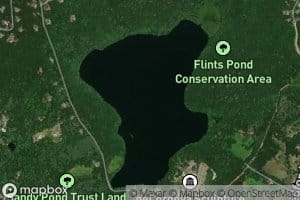 Flints Pond