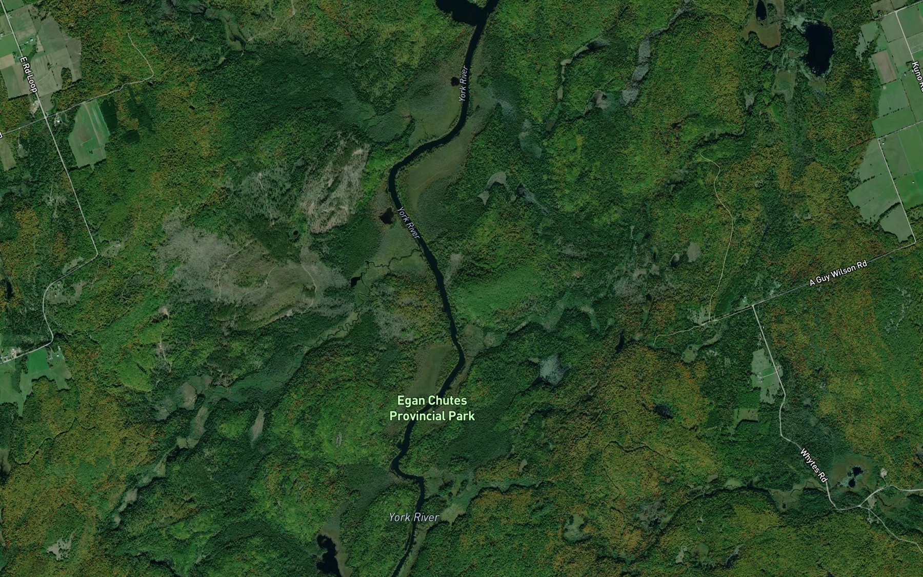 Satellite map of the Salmon Trout Creek