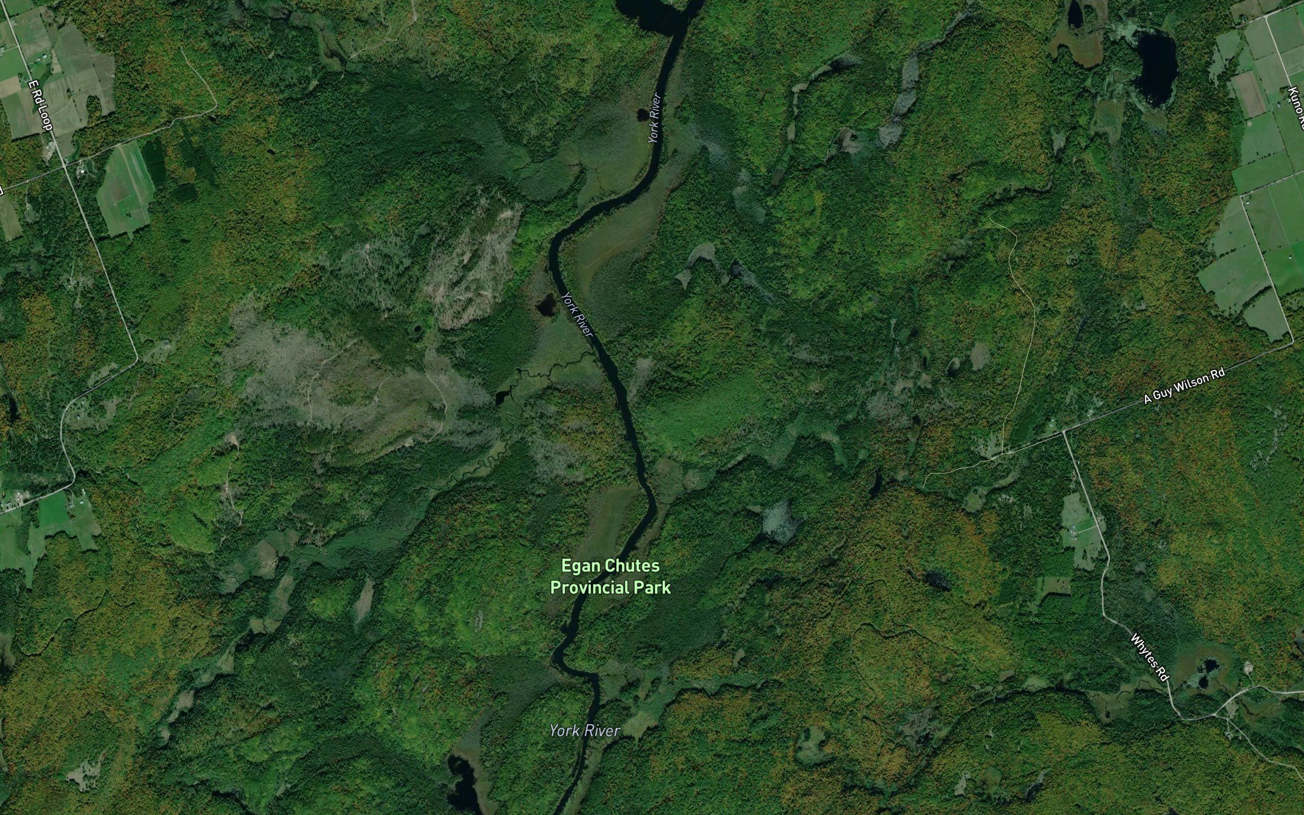 Salmon Trout Creek