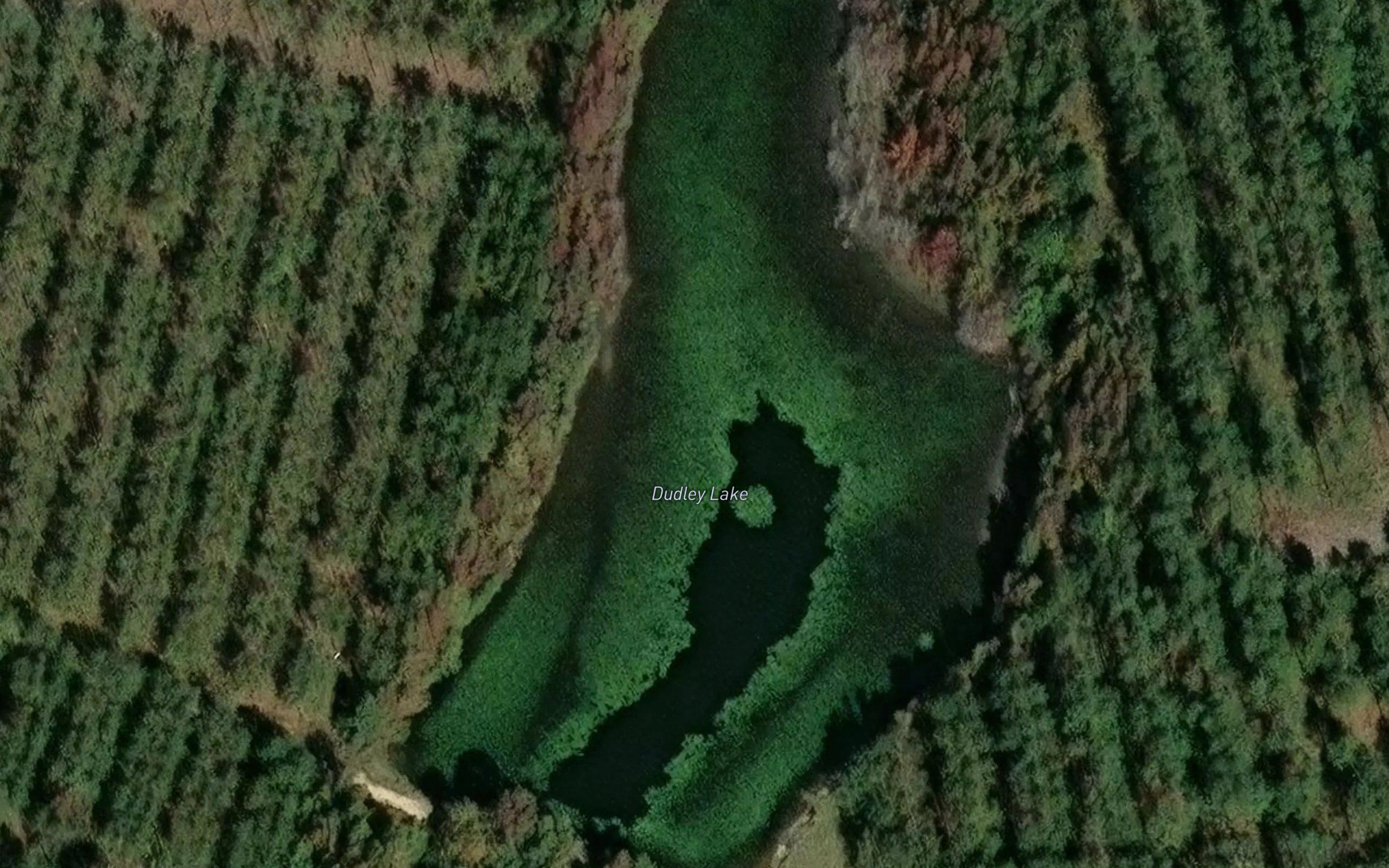 Dudley Lake