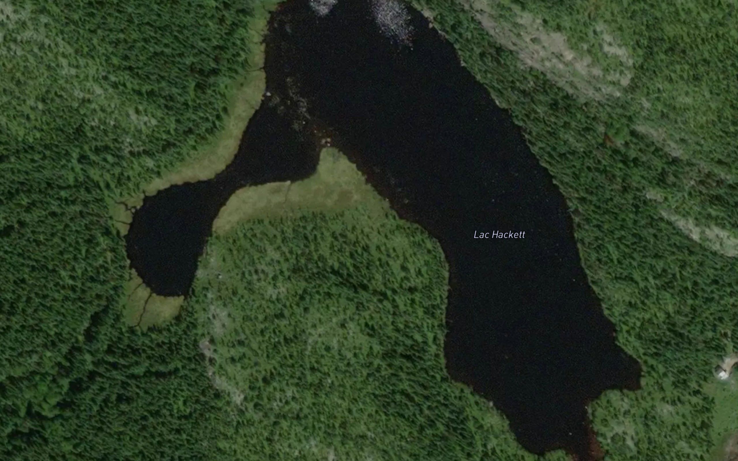 Lac Hackett