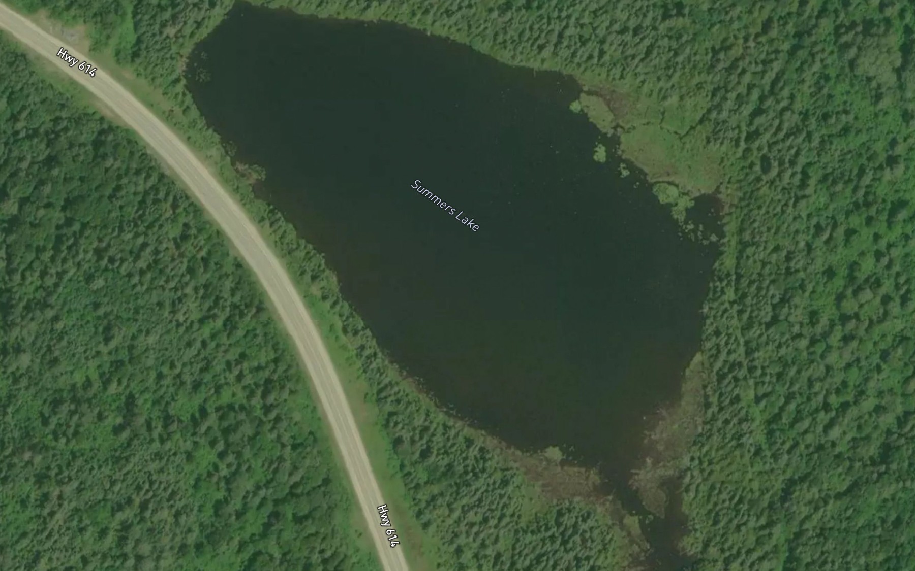 Satellite map of the Summers Lake