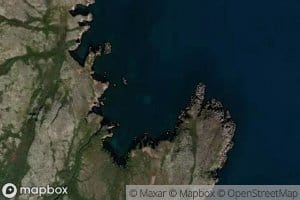 Guba Nemetskaya Vilovataya