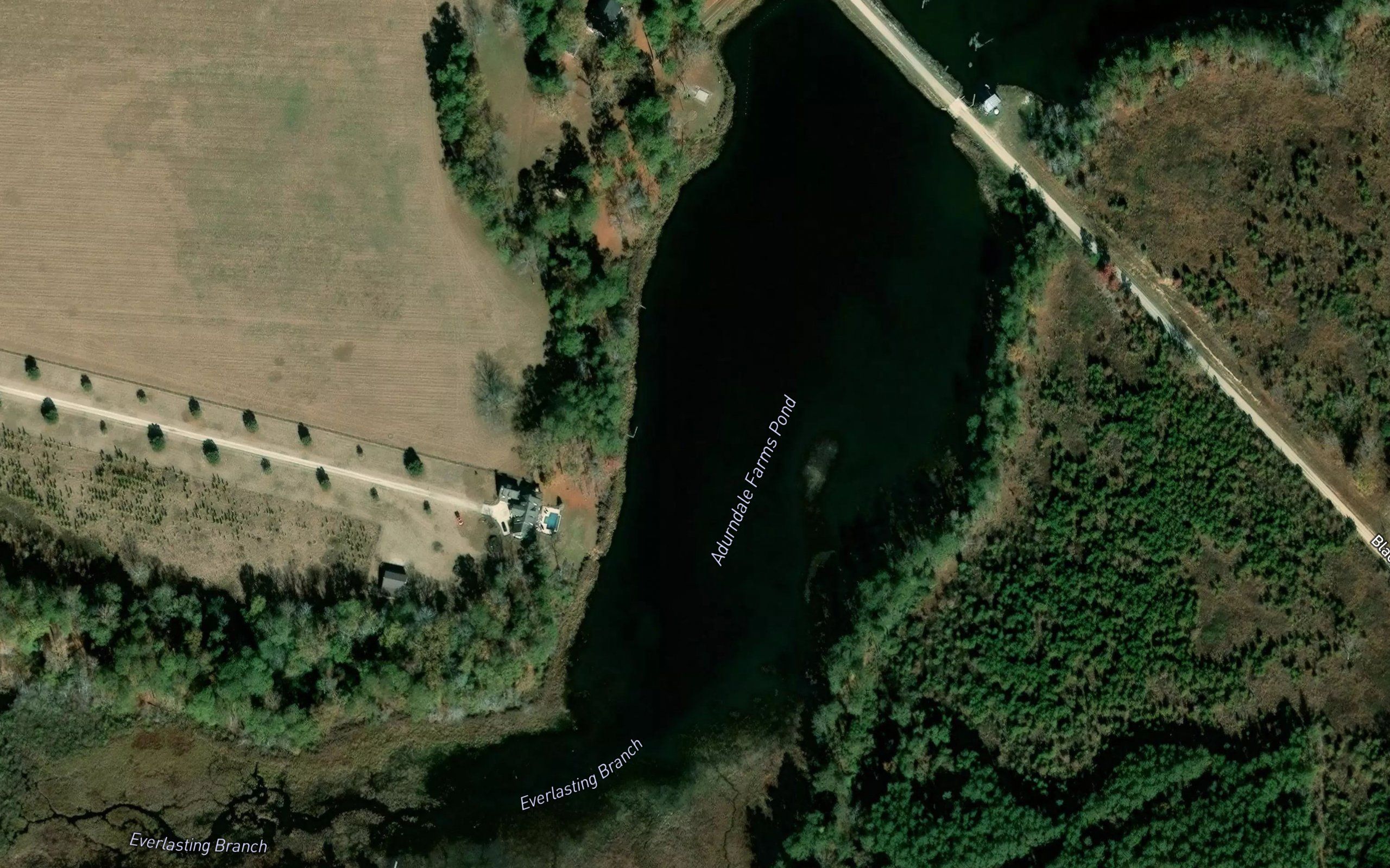 Adurndale Farms Pond