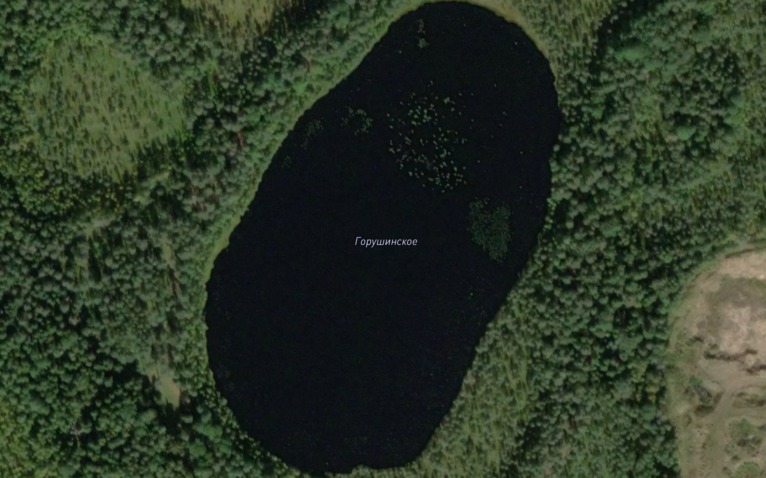 Ozero Gorushenskoye