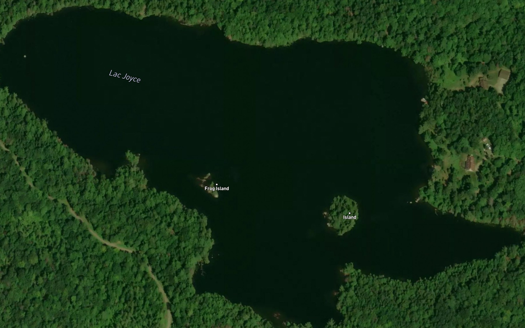 Satellite map of the Lac Joyce