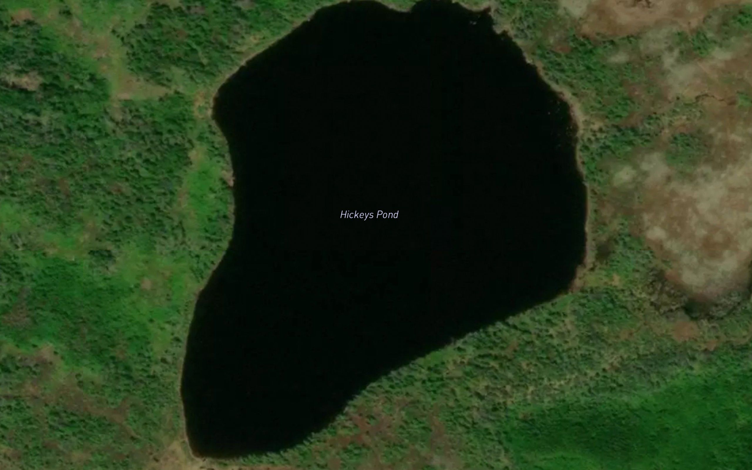 Hickeys Pond